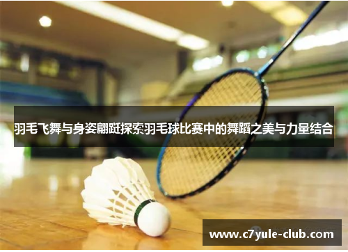 羽毛飞舞与身姿翩跹探索羽毛球比赛中的舞蹈之美与力量结合
